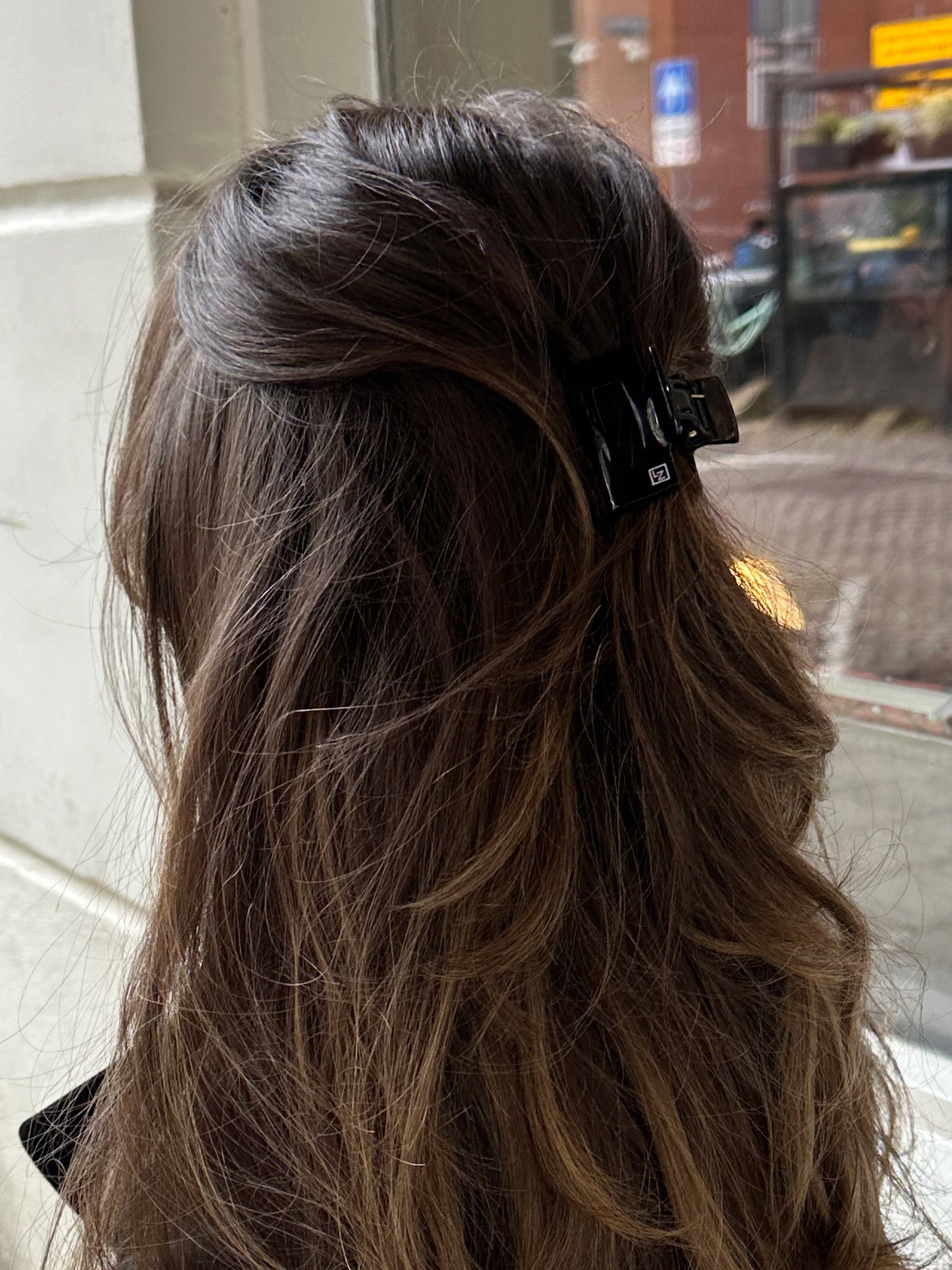 The Hair Clip