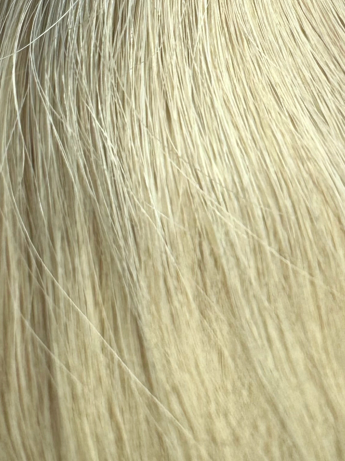 Scarlett Blonde - V Part