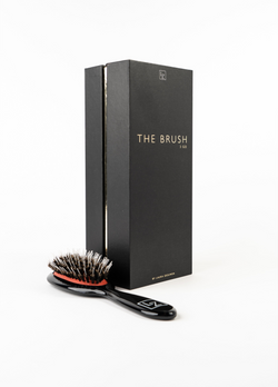 The Brush 2GO